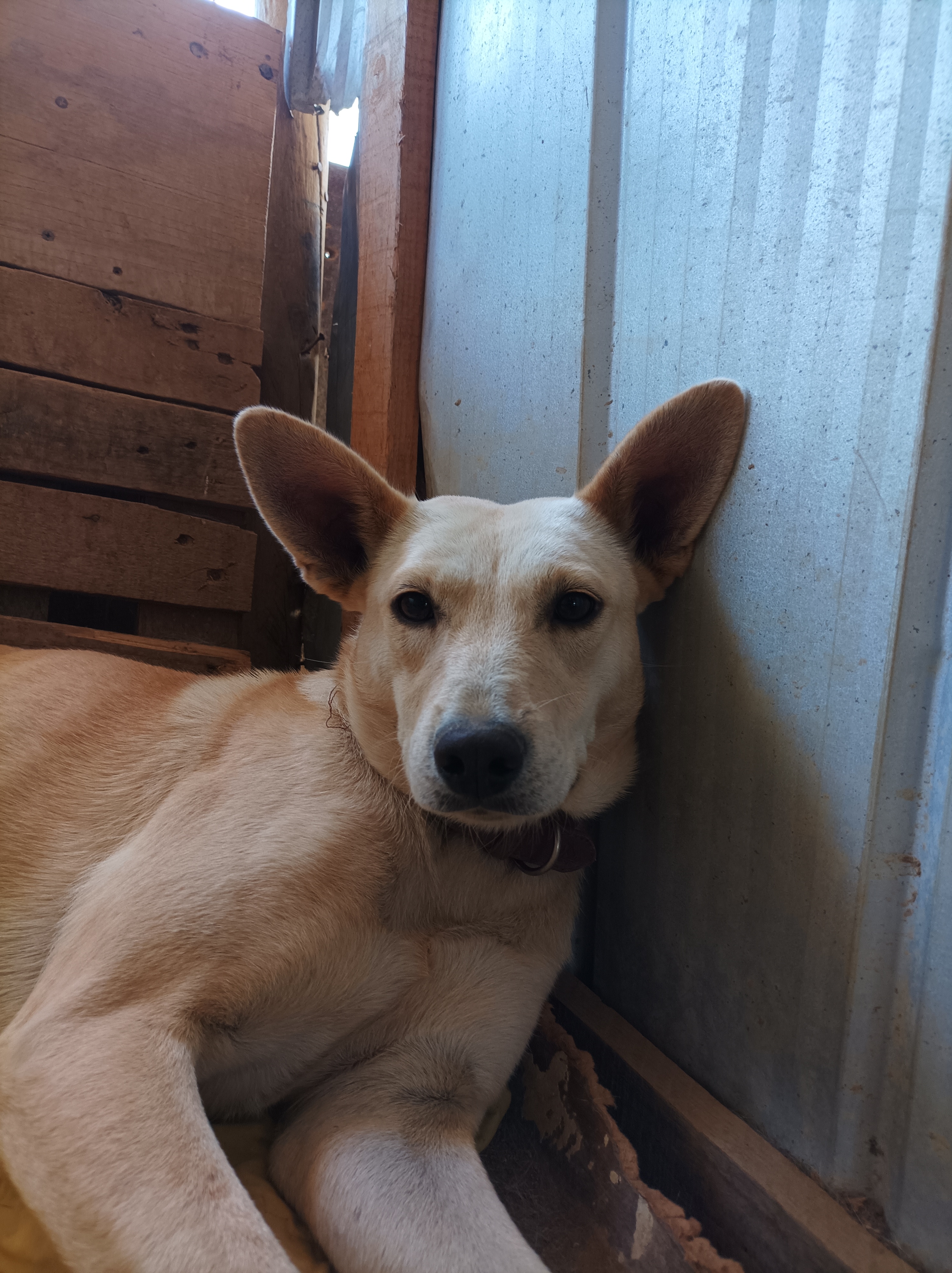 Foto 12