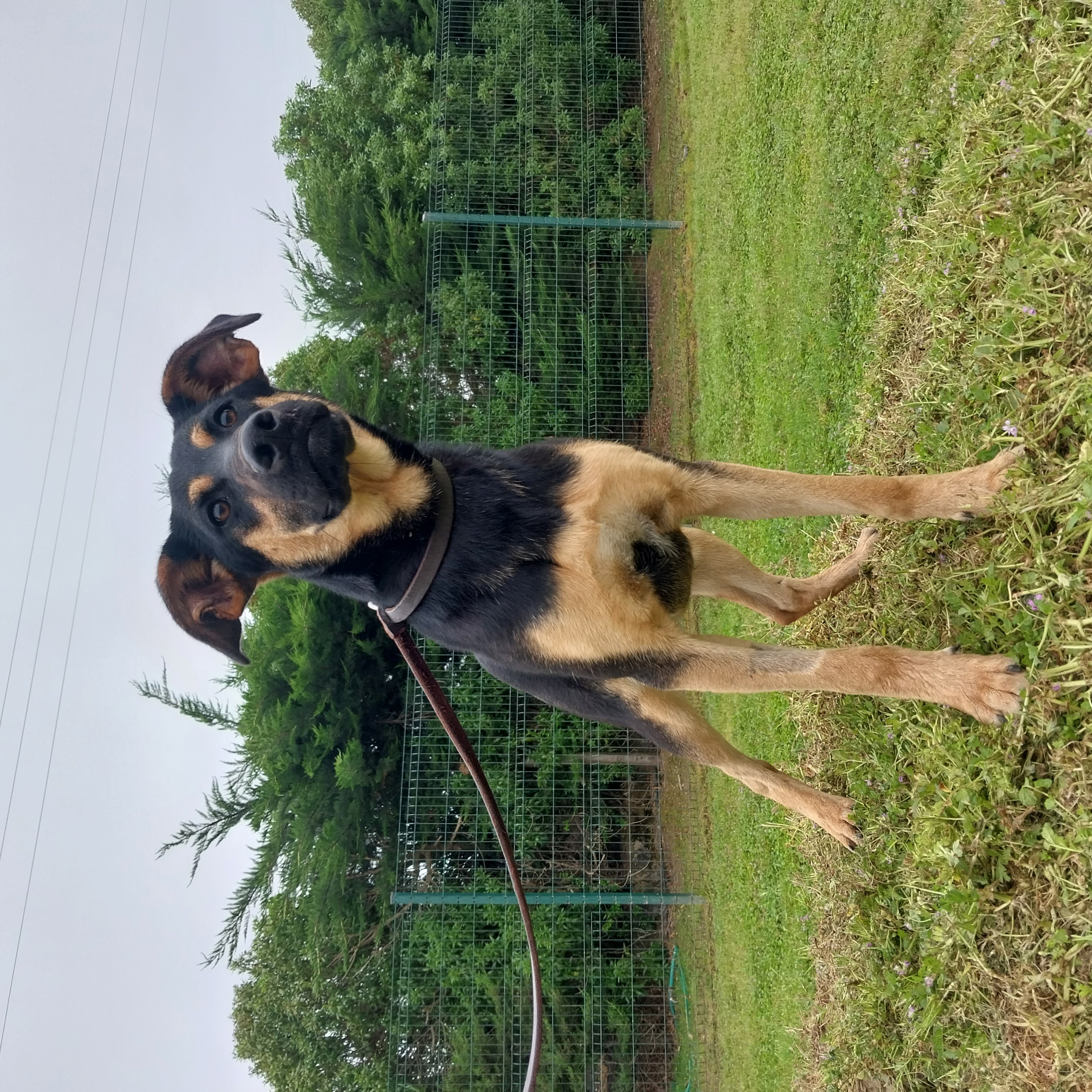 Foto 2