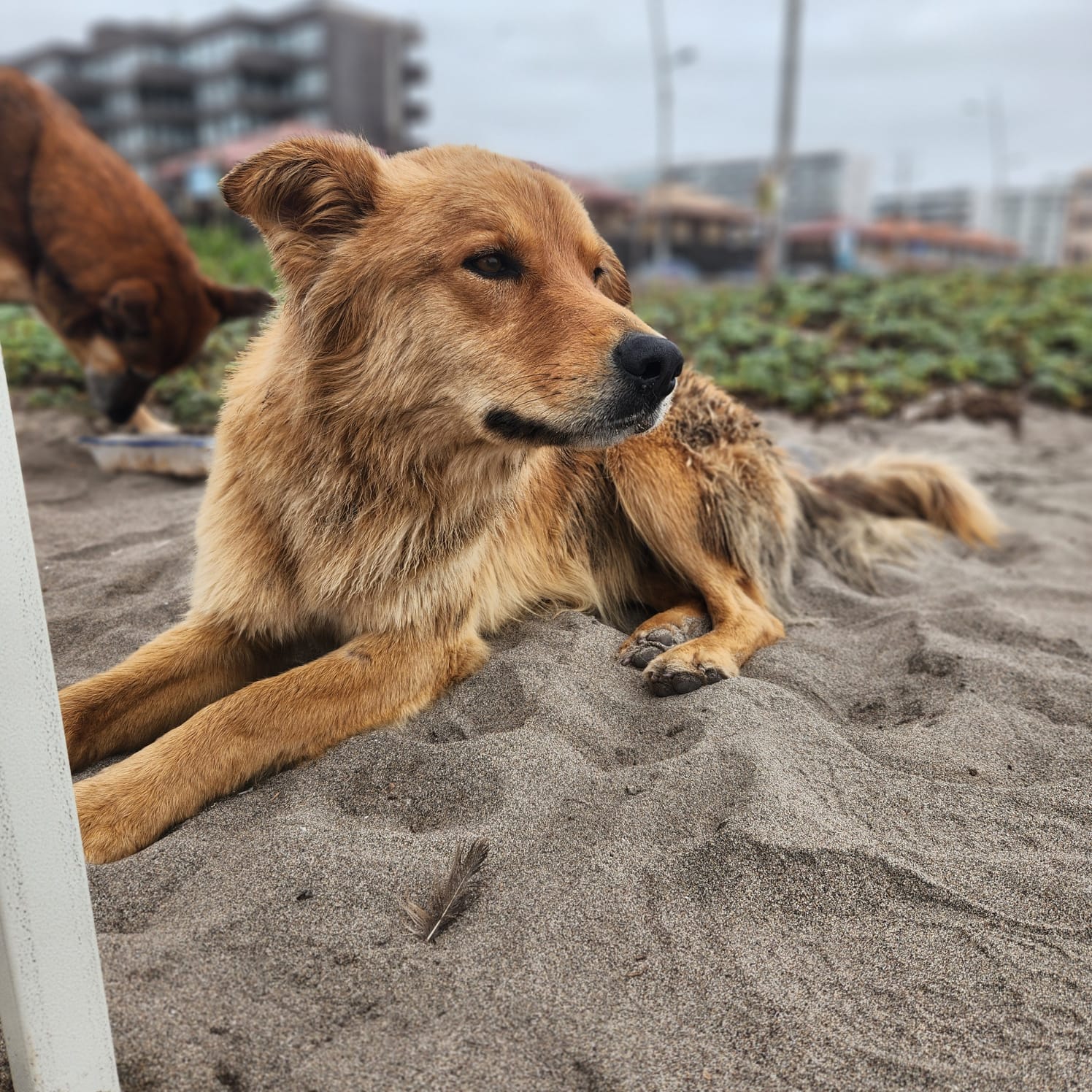 Foto 2