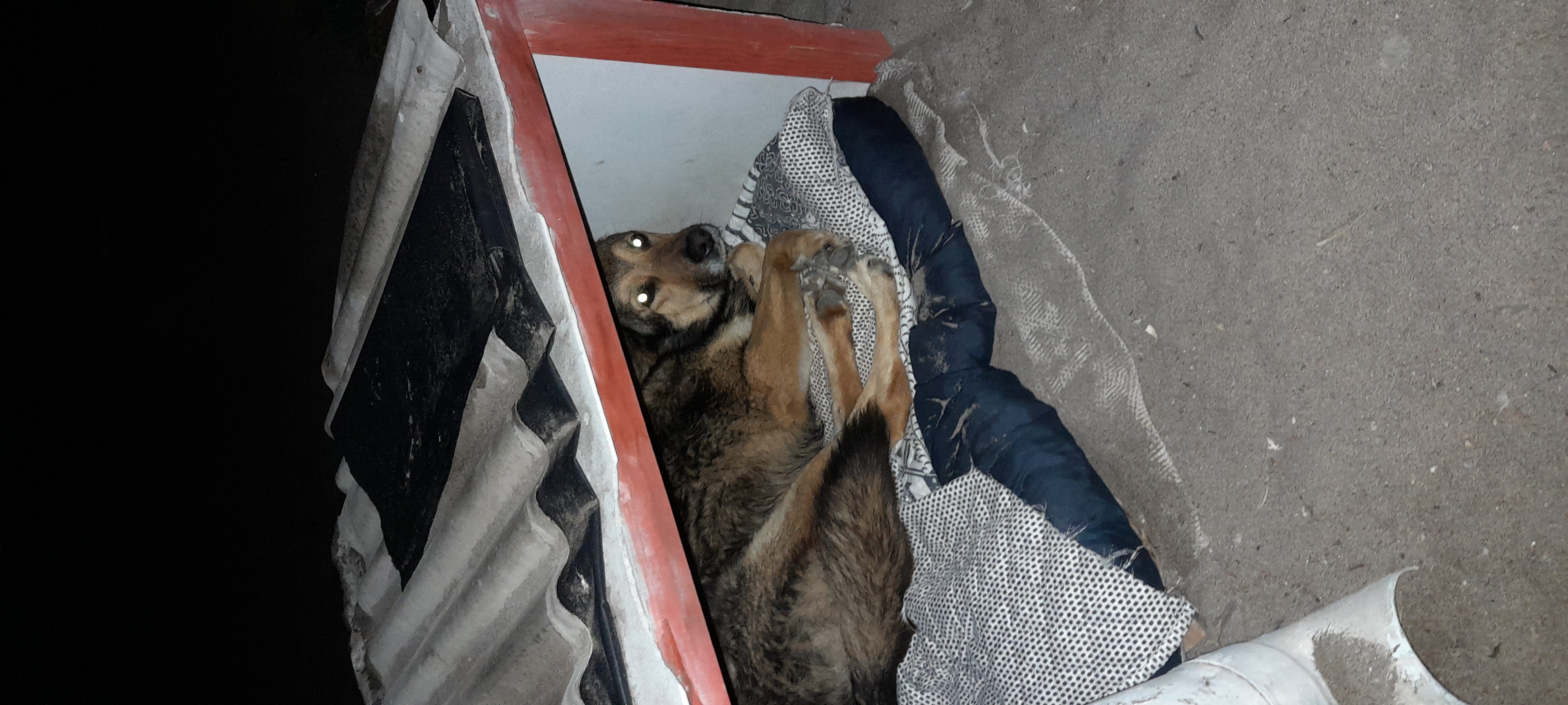 Foto 1