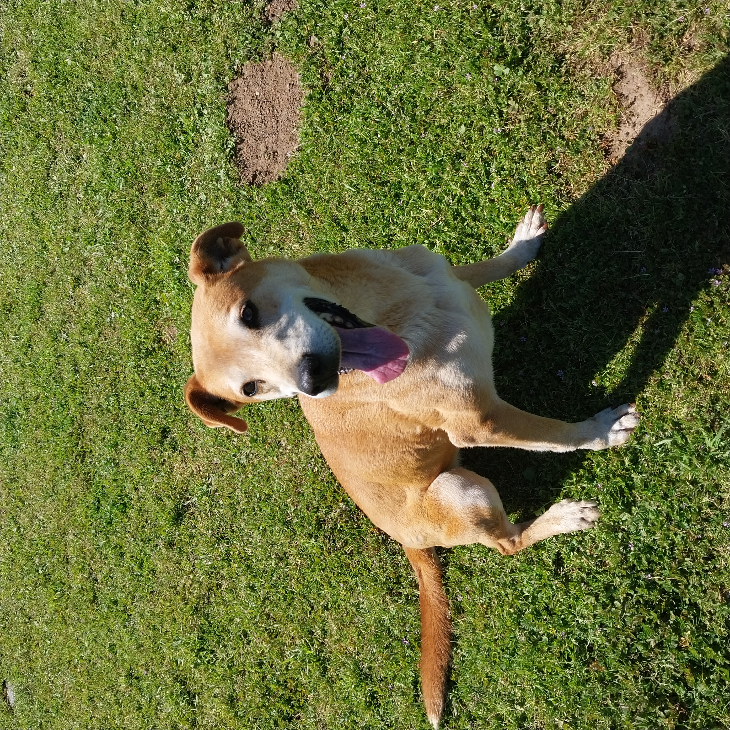 Foto 2