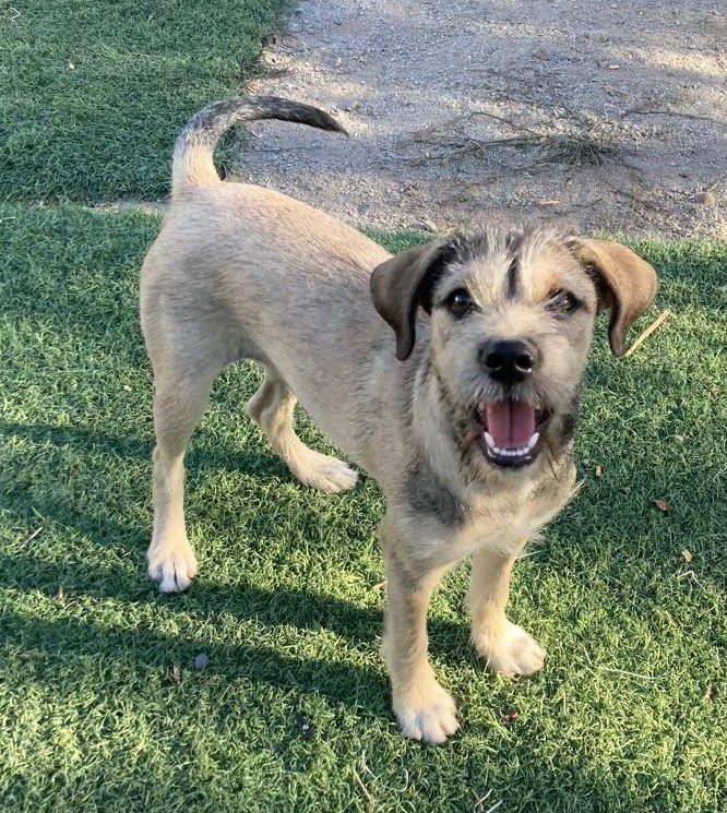 Foto 1
