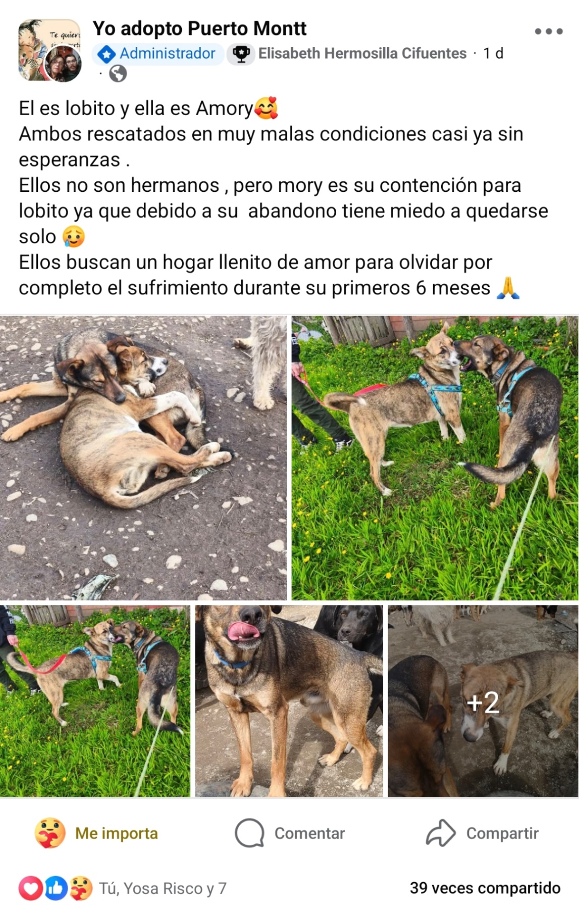 Foto 5