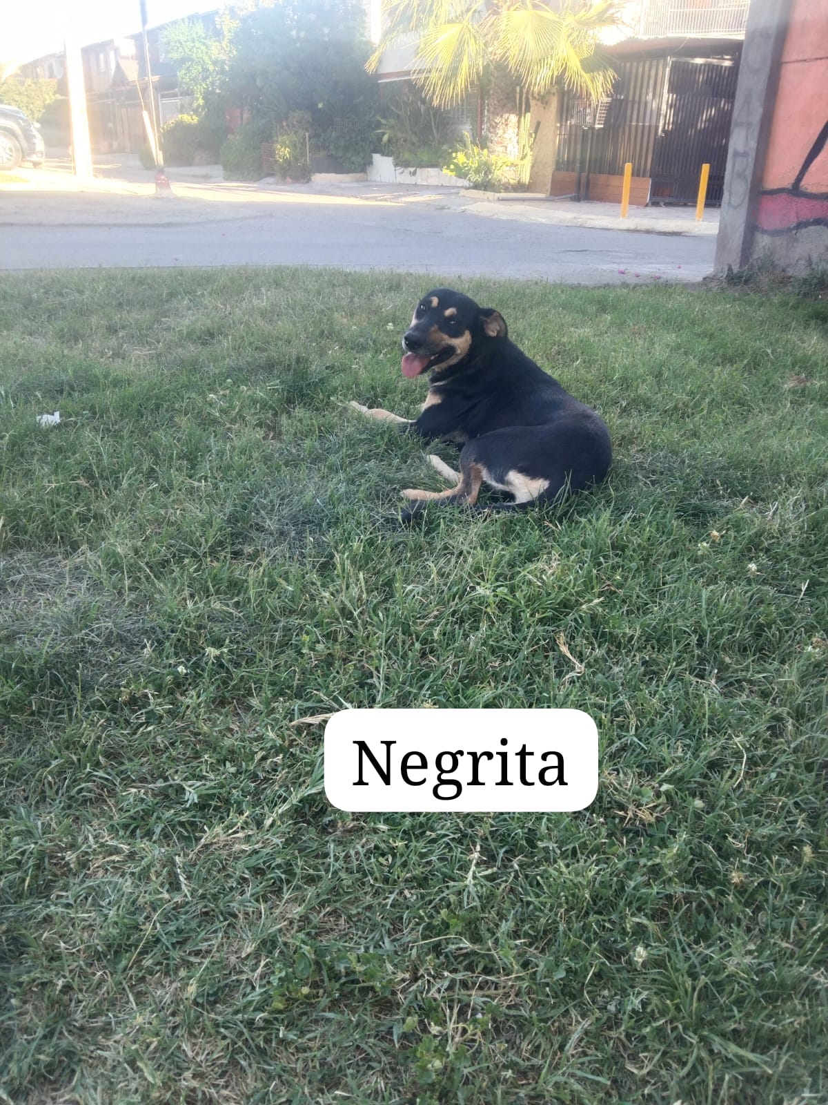 Foto 2
