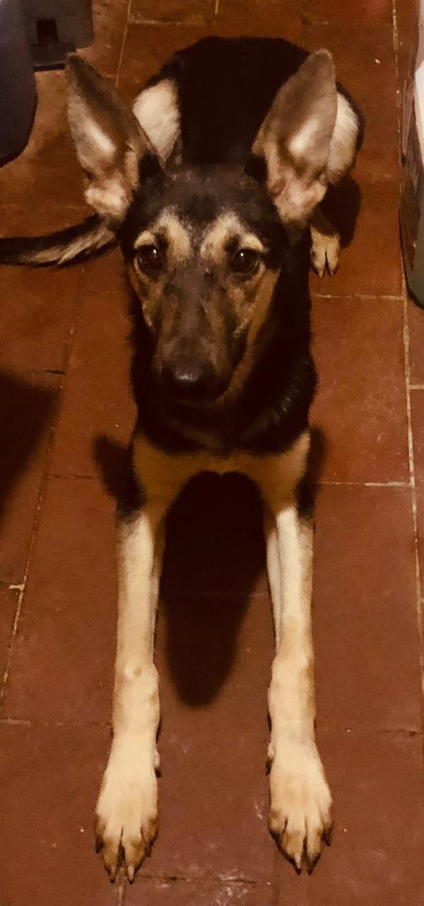 Foto 3