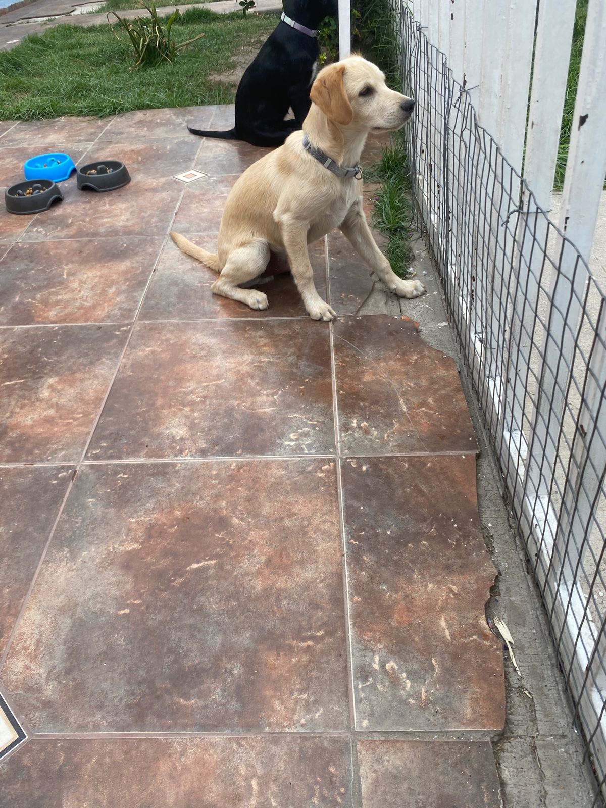 Foto 2