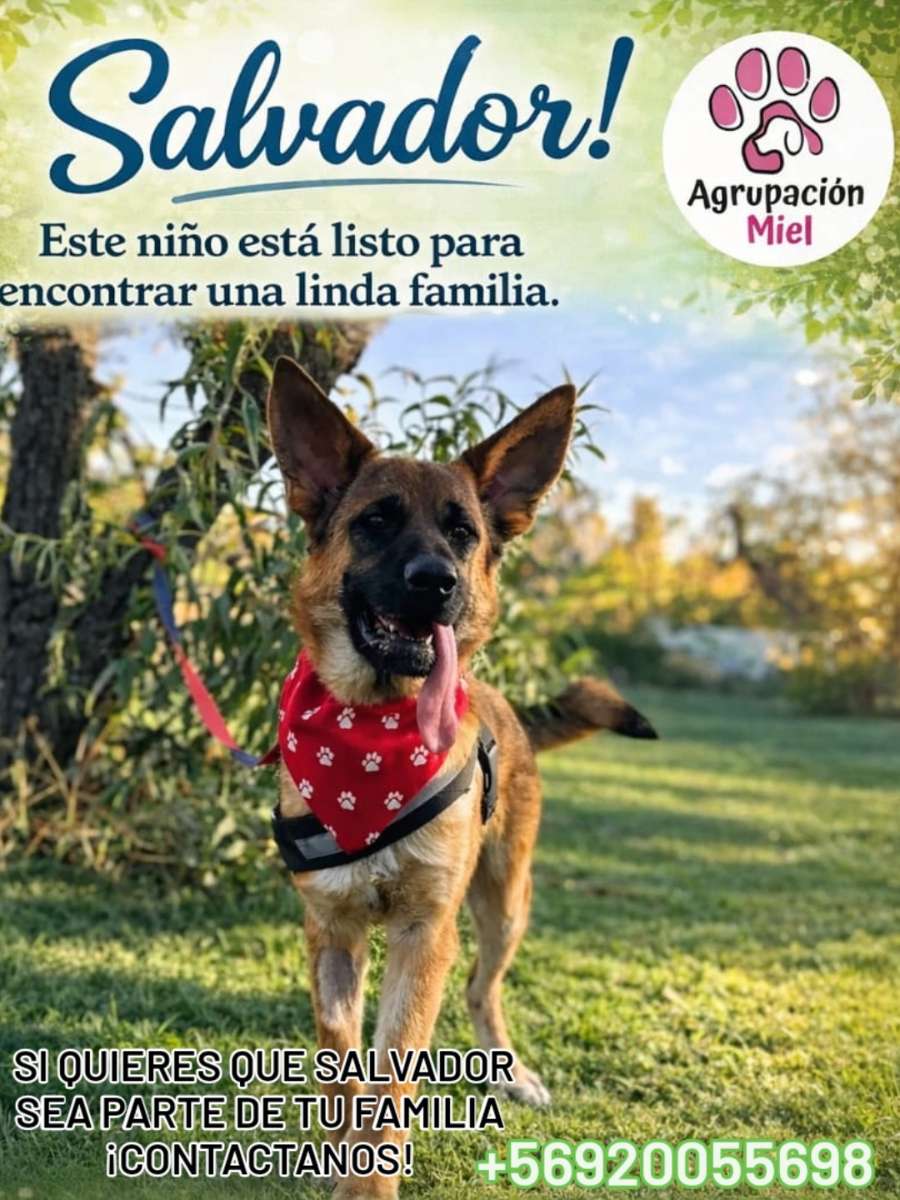 Foto 1
