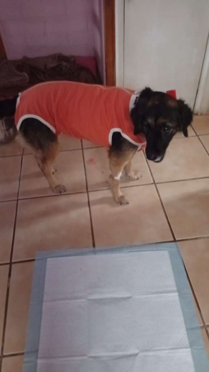 Foto 4