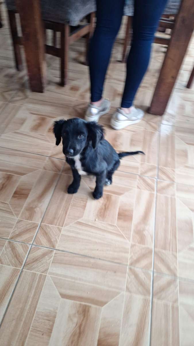 Foto 2