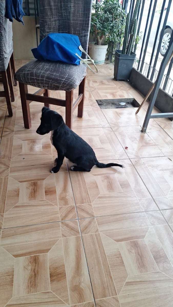 Foto 3