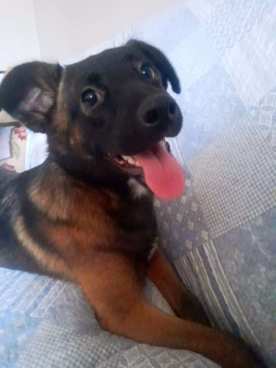 Foto 2