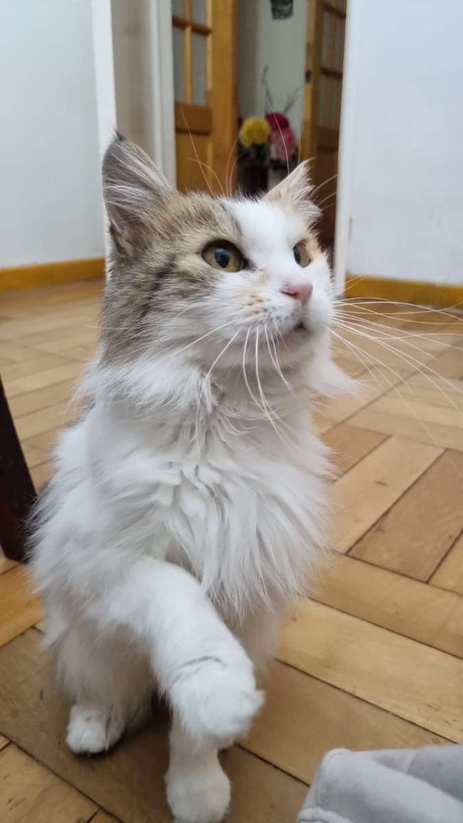 Foto 2