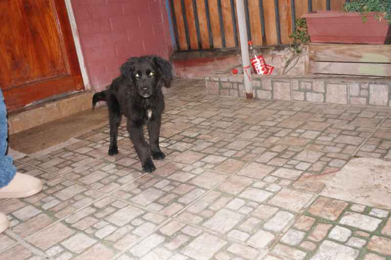 Foto 3