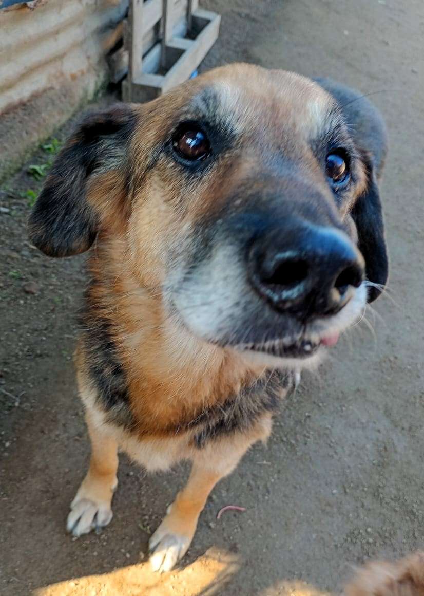 Foto 14