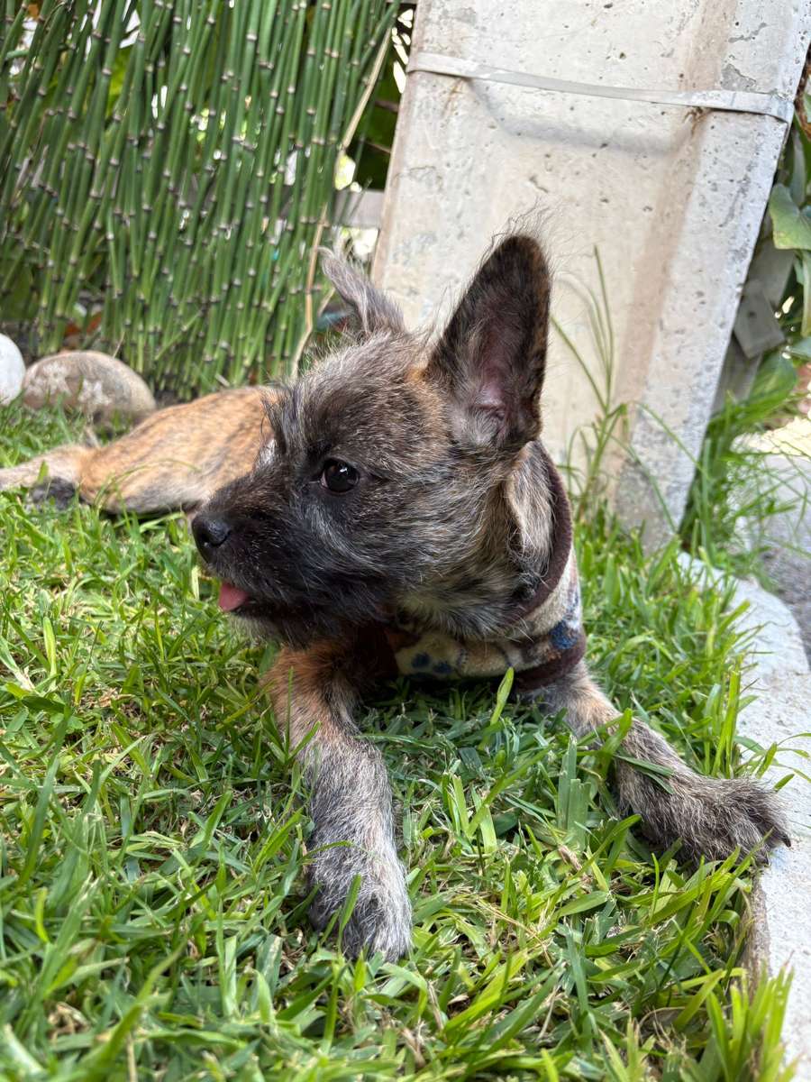 Foto 4