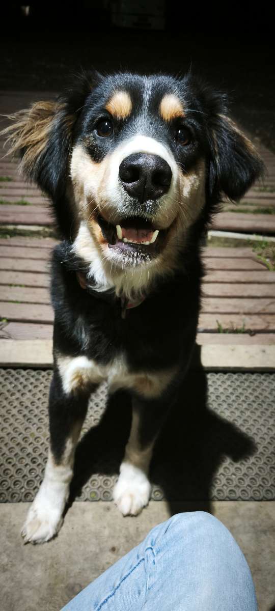 Foto 5