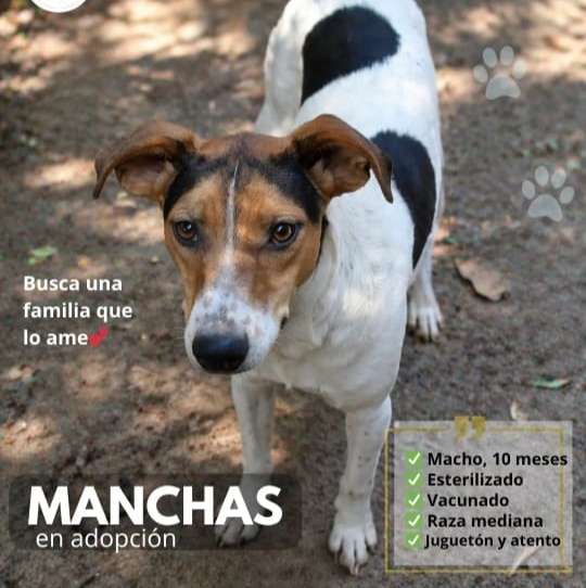 Foto 3