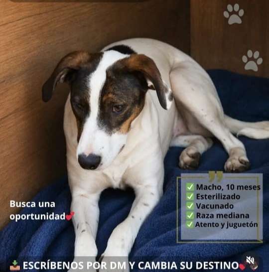 Foto 3