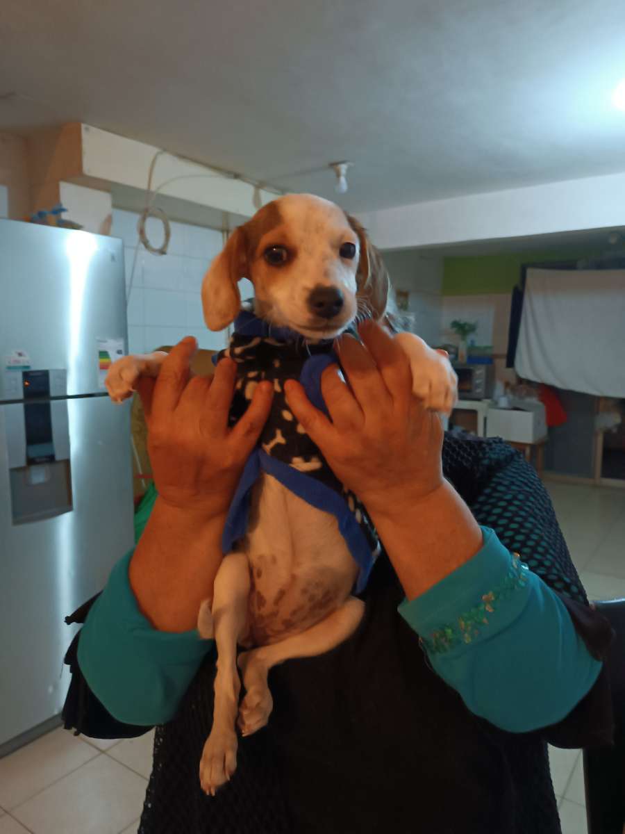 Foto 4