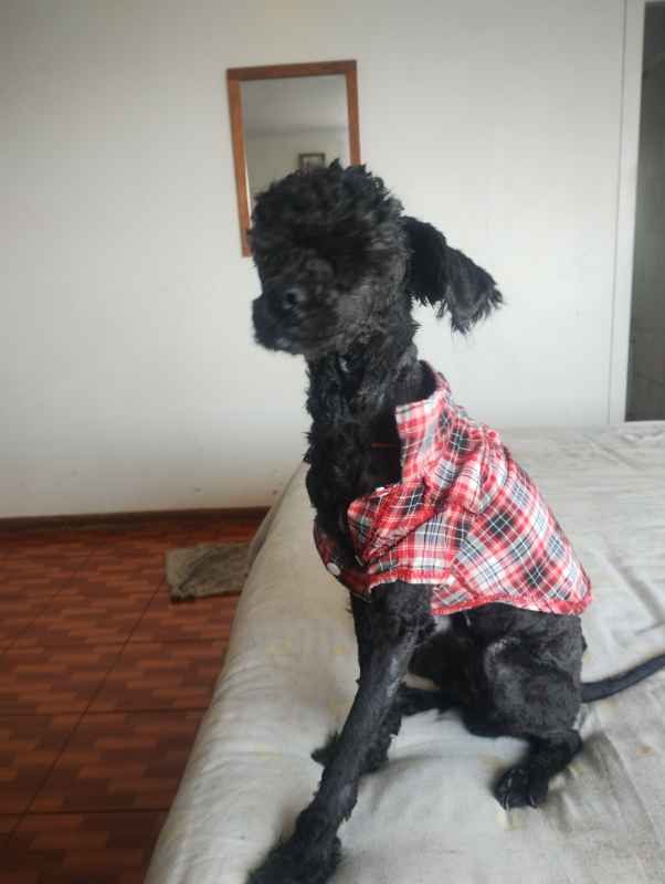Foto 3