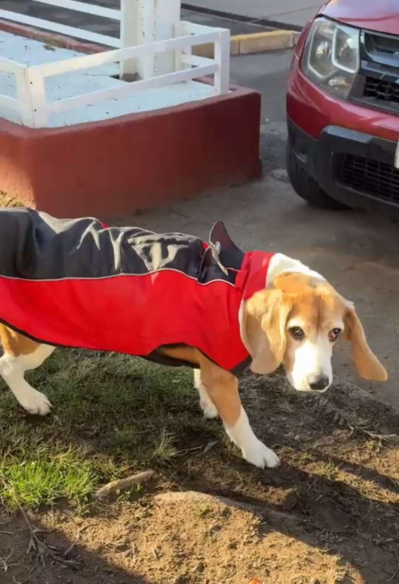 Foto 2