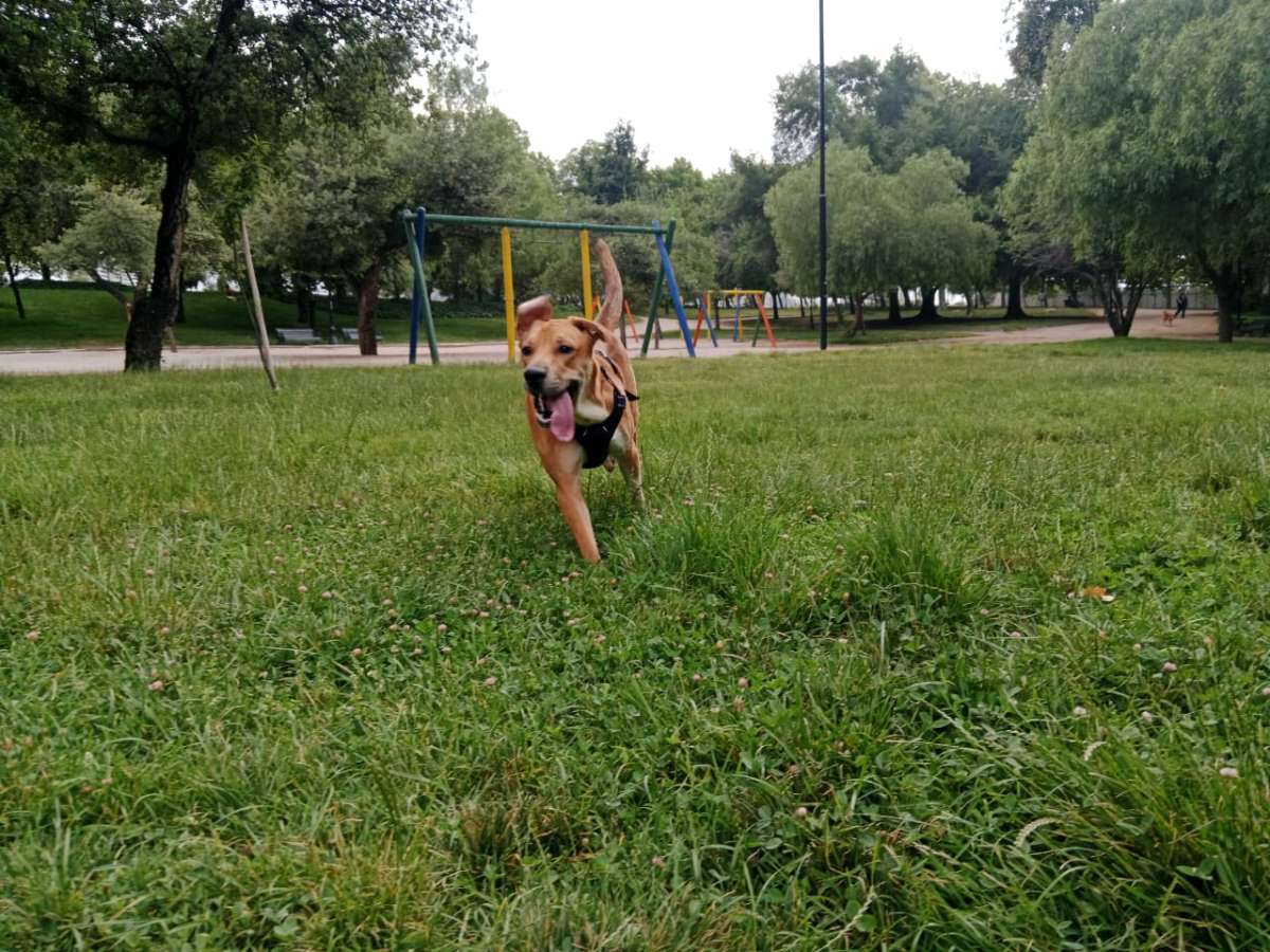 Foto 1