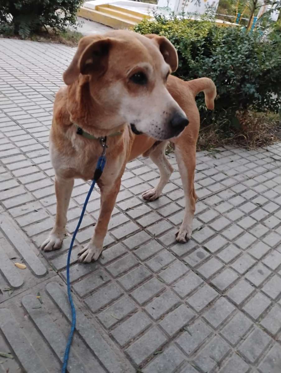 Foto 5