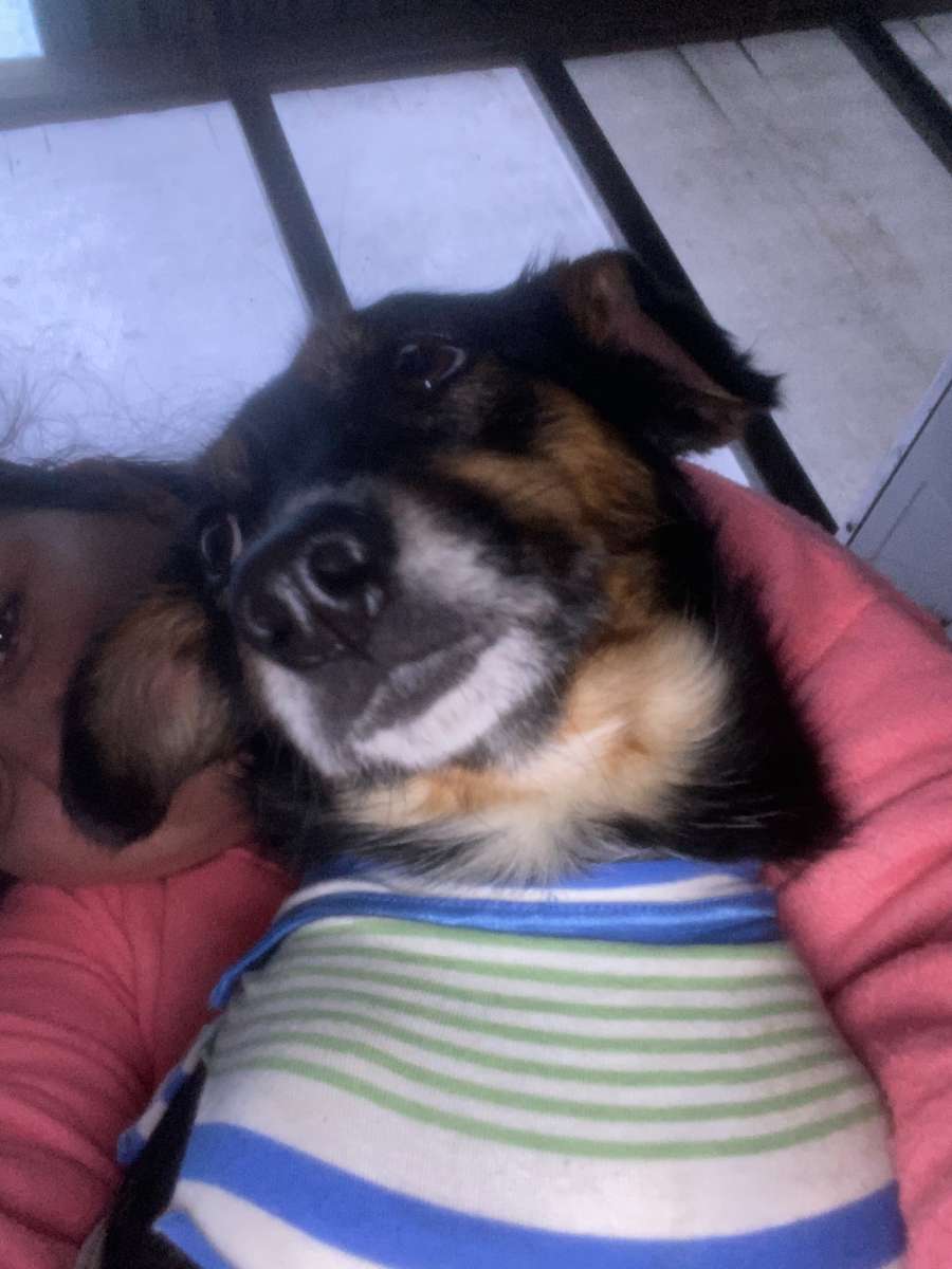 Foto 8