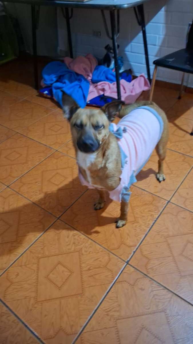 Foto 6