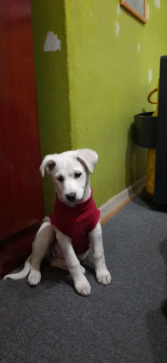 Foto 1