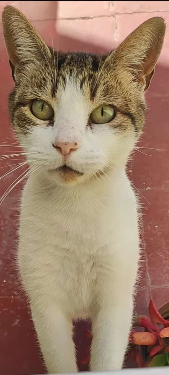 Foto 3