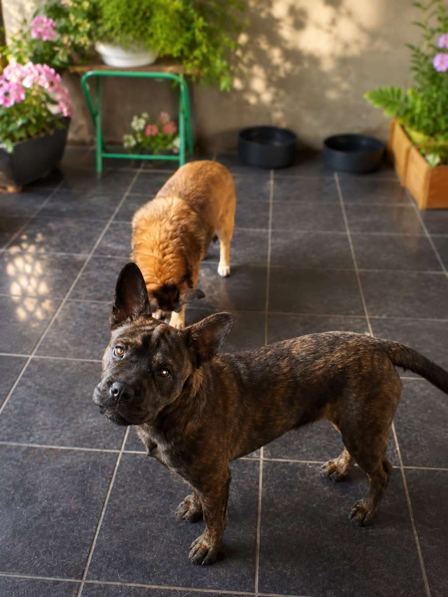 Foto 2