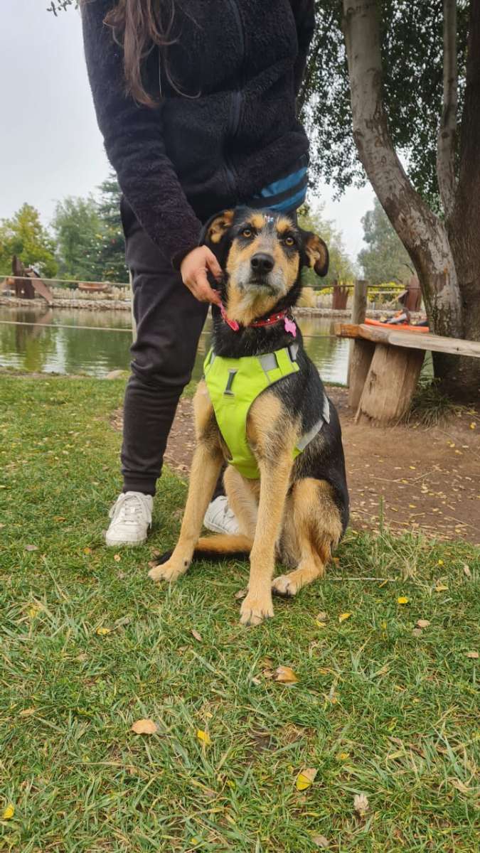 Foto 8