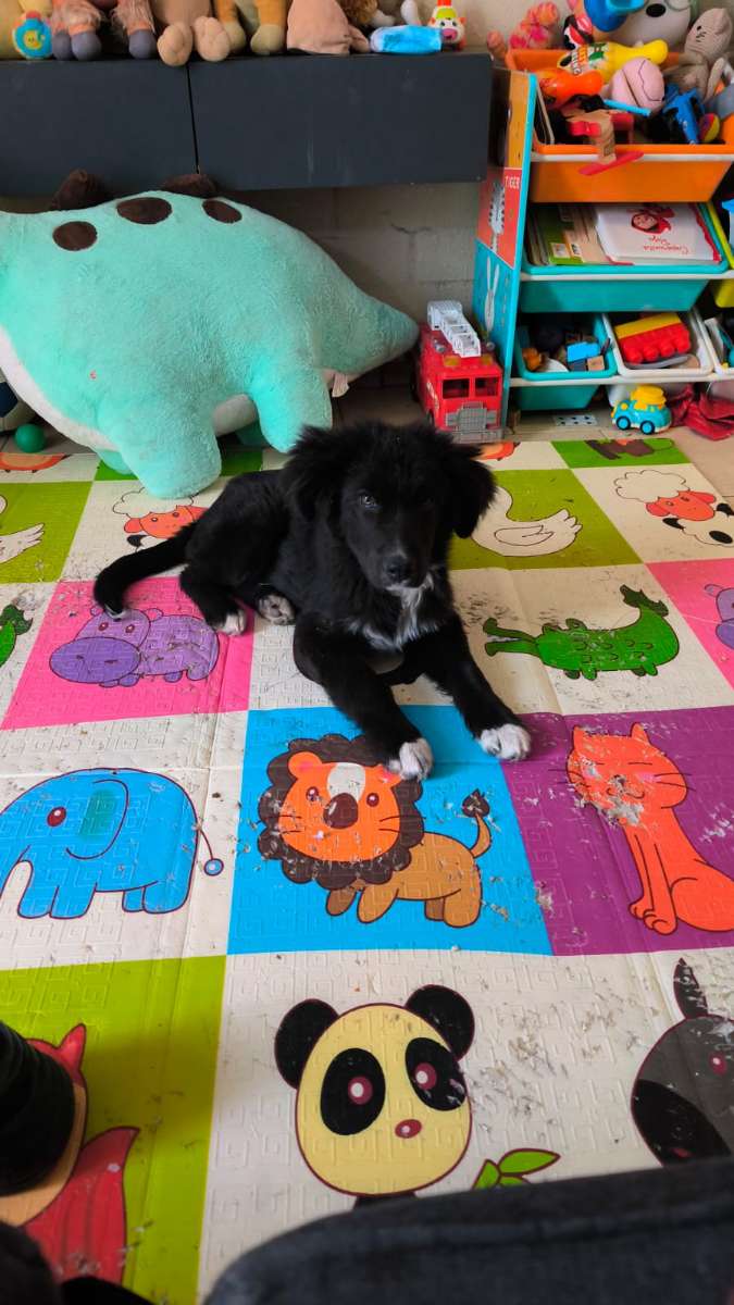 Foto 3