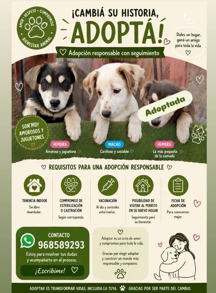 Foto 1