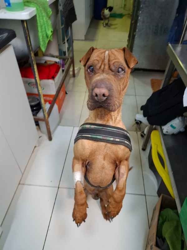 Foto 2