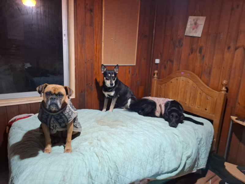 Foto 10