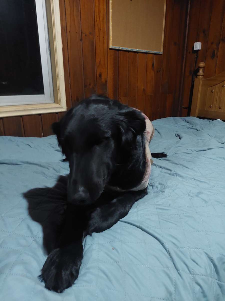 Foto 8