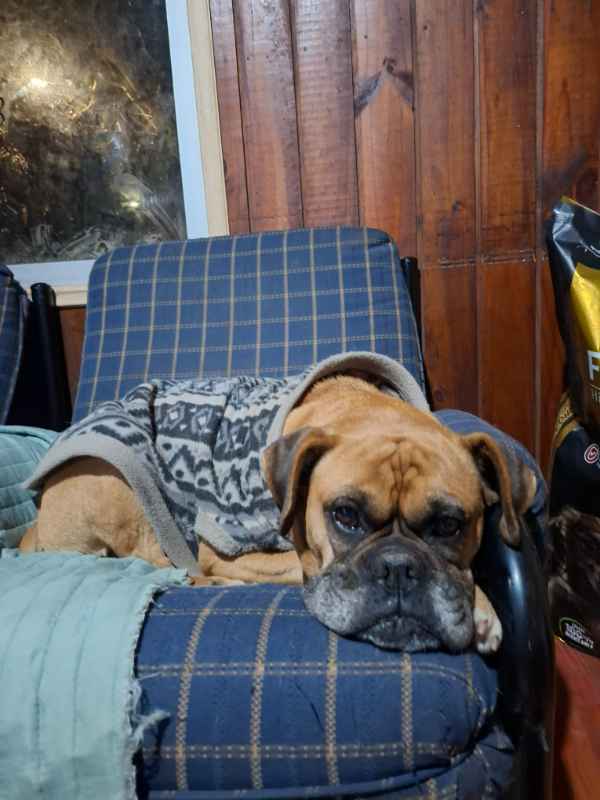 Foto 4