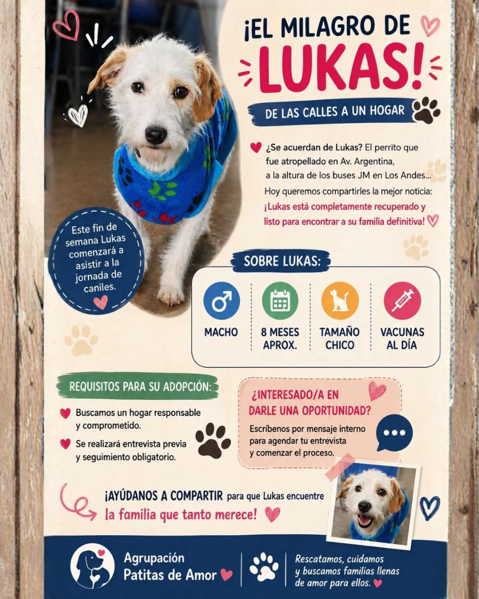 Foto 1