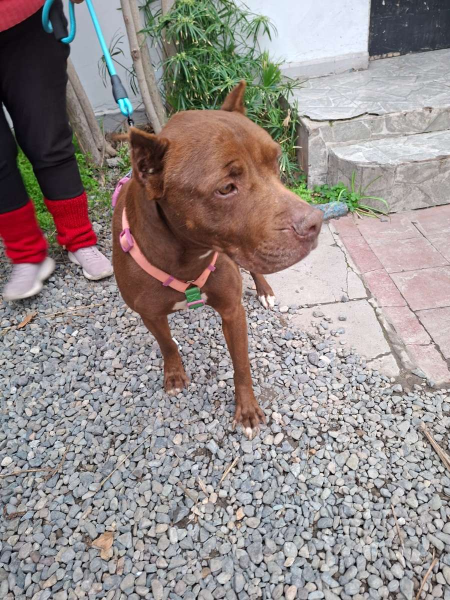 Foto 4