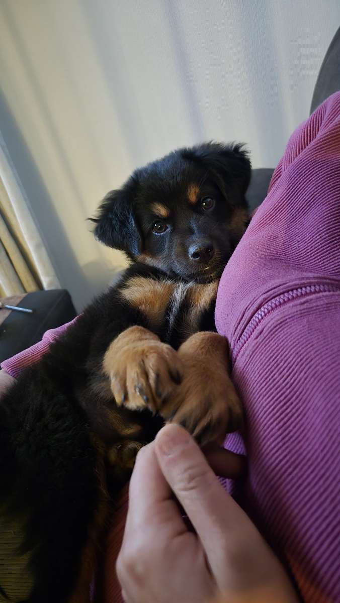 Foto 3