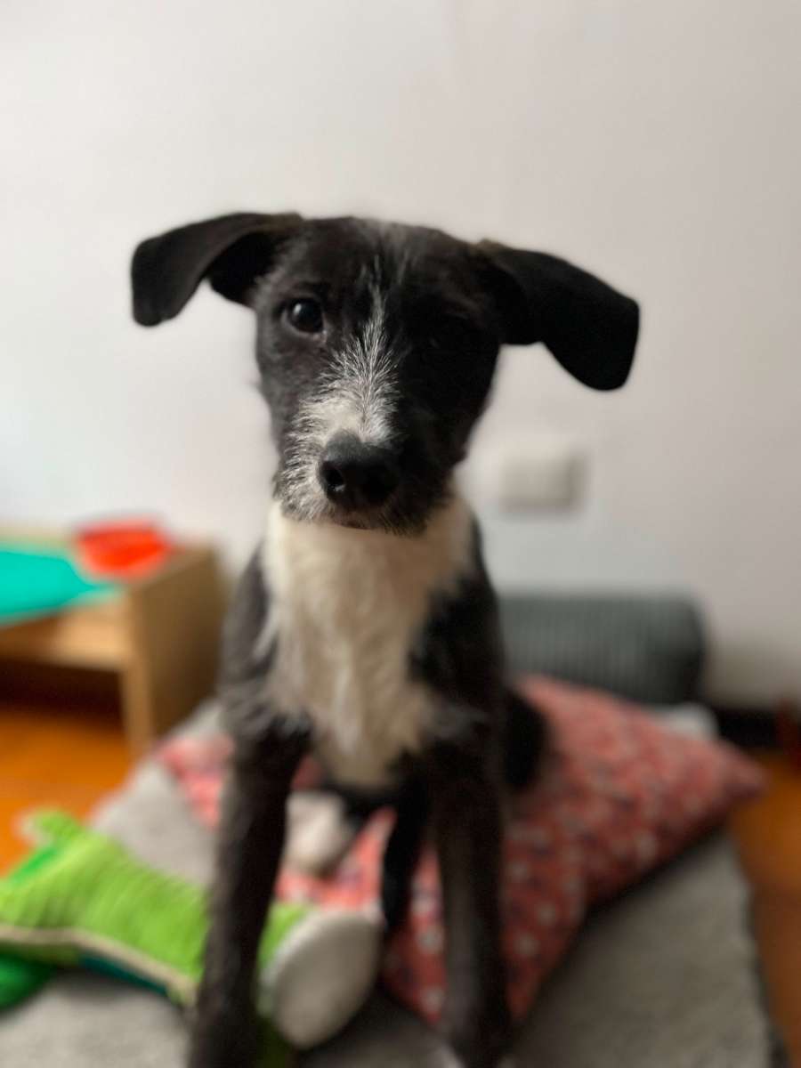 Foto 4
