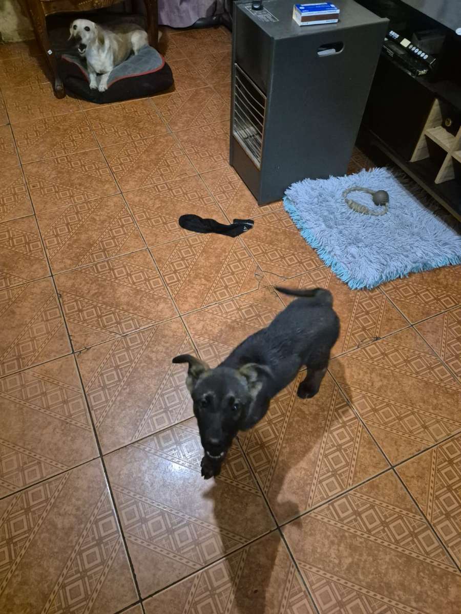 Foto 3