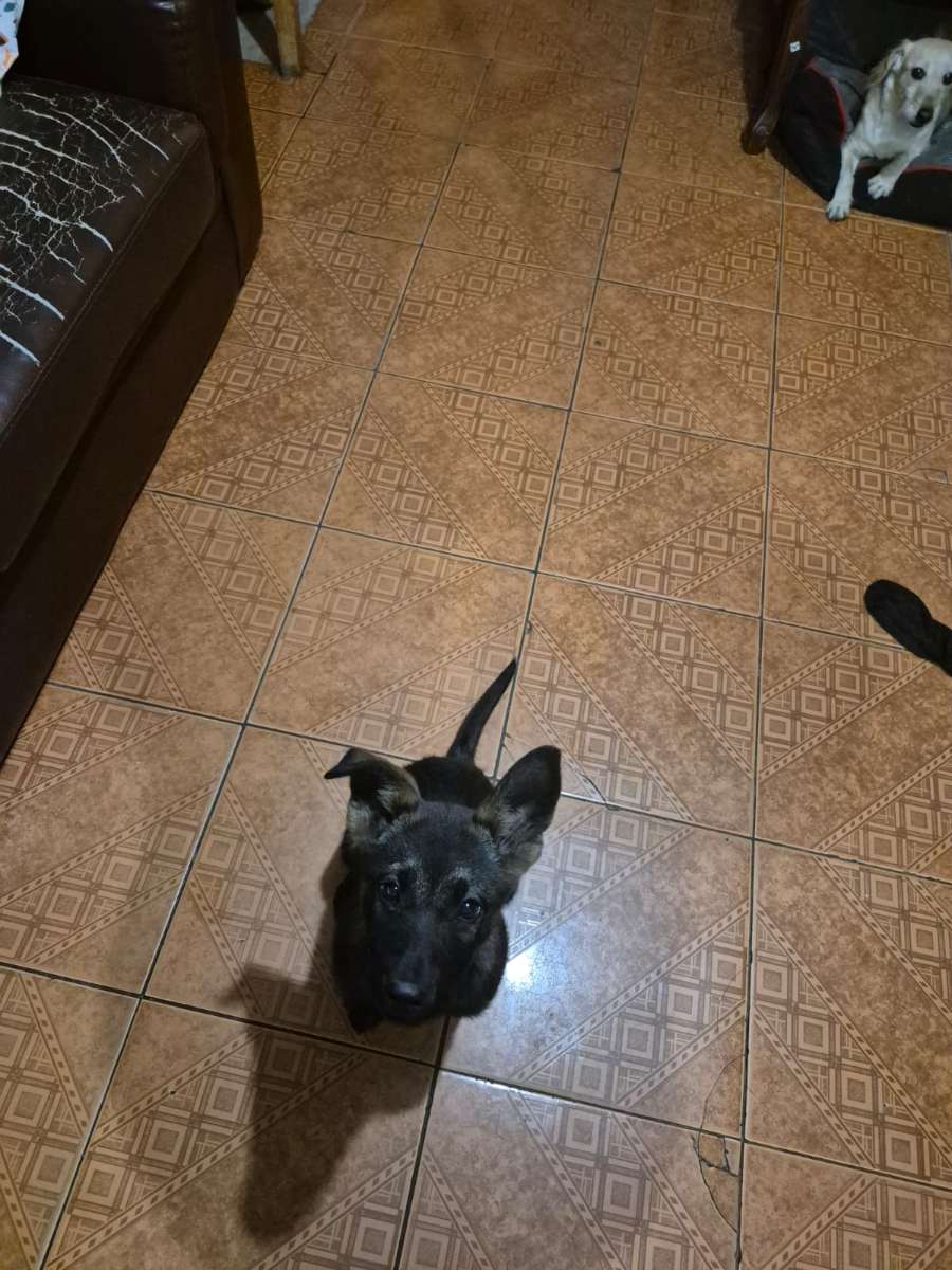 Foto 4