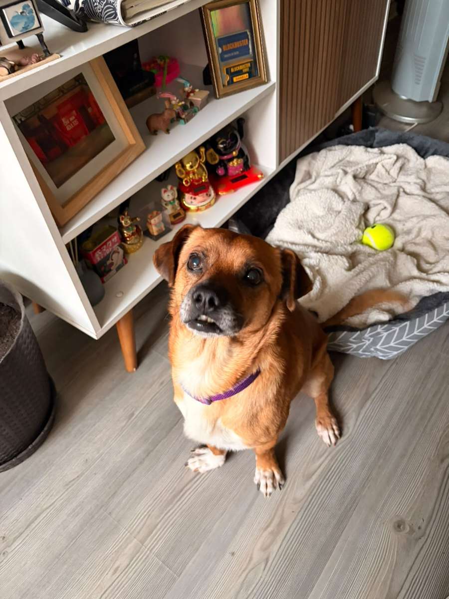 Foto 11