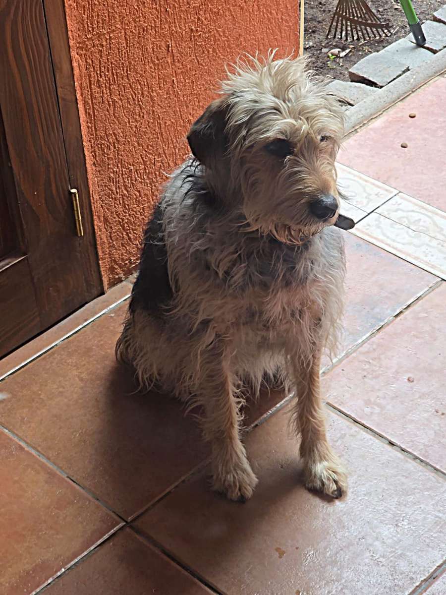 Foto 4
