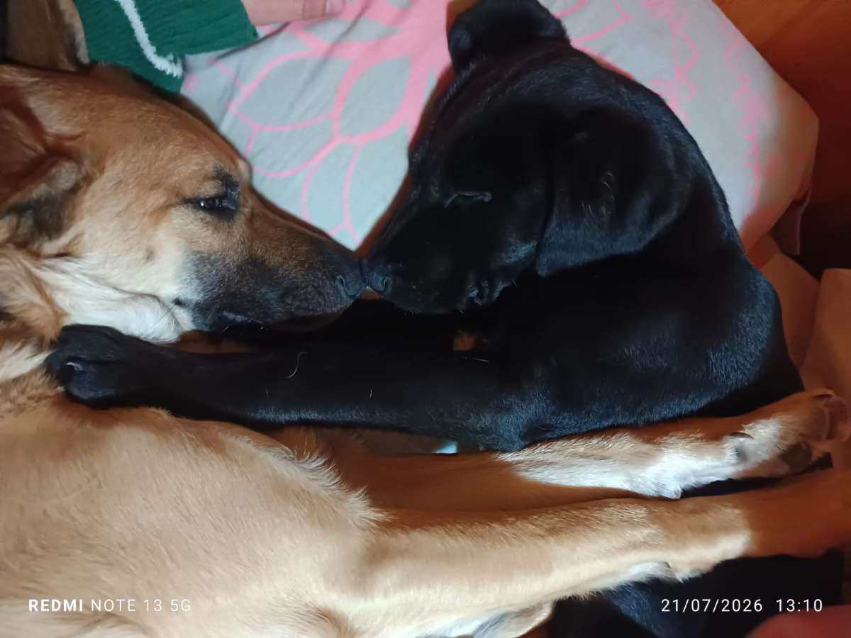 Foto 2