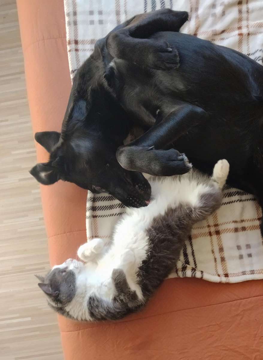 Foto 16