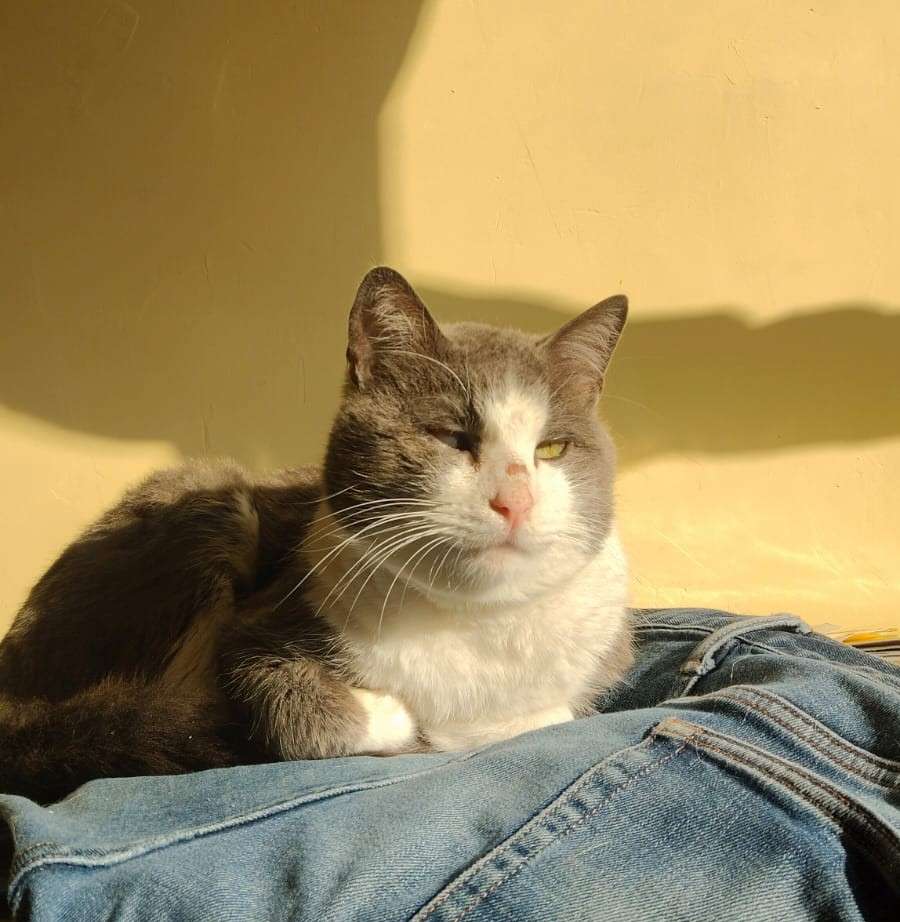 Foto 10